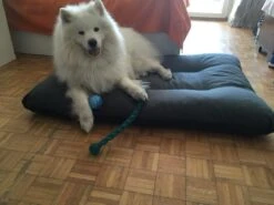 Hondenkussen XXXL -Donkergrijs - 85 X 120 X 14 -Hond Benodigdheden 1200x900 18