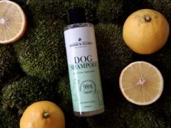 Fresh & Fluffy - Hondenshampoo Aloë Vera / Bergamot - Geschikt Voor Alle Hondenrassen - Natuurlijke & Vegan Voor De Gevoelige Huid - 250ml 6 Fresh & Fluffy - Hondenshampoo Aloë Vera / Bergamot - Geschikt Voor Alle Hondenrassen - Natuurlijke & Vegan Voor De Gevoelige Huid - 250ml -Hond Benodigdheden 1200x900 3