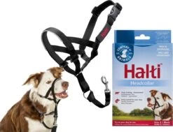 Halti Headcollar - Maat 2 13 Halti Headcollar - Maat 2 -Hond Benodigdheden 1200x916 3