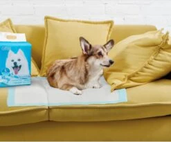 Nobleza 48LXB - Puppy Training Pads - 60 X 90 Cm - Zindelijkheidstraining - 100 Stuks -Hond Benodigdheden 1200x997 3