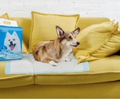 Nobleza 48LXE - Puppy Training Pads - 60 X 90 Cm - Zindelijkheidstraining - 120 Stuks -Hond Benodigdheden 1200x997 4