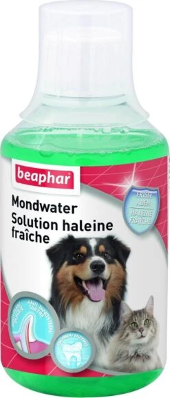Beaphar Mondwater - 250 Ml -Hond Benodigdheden 513x1200