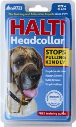 Halti Headcollar - Maat 2 16 Halti Headcollar - Maat 2 -Hond Benodigdheden 721x1200 1