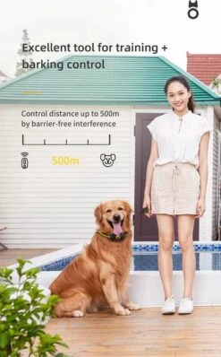 Anti Blafband EN Trainingshalsband In 1 - UNIEK SYSTEEM - 1000m Bereik - 100 Levels - Trainingsband - Antiblafband - Teletac - Geluid En Vibratie/trilling - Grote En Kleine Honden - Volledig Waterdicht - Anti Blafband -Hond Benodigdheden 744x1200 1