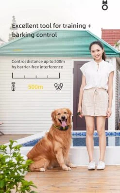 Anti Blafband EN Trainingshalsband In 1 - UNIEK SYSTEEM - 1000m Bereik - 100 Levels 13 Anti Blafband EN Trainingshalsband In 1 - UNIEK SYSTEEM - 1000m Bereik - 100 Levels -Hond Benodigdheden 745x1200 1