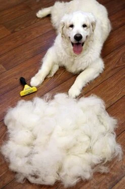 Furminator® Hond Langhaar - Vermindert Haaruitval Tot 90% - Hondenborstel - L -Hond Benodigdheden 800x1200 3