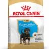 Royal Canin Rottweiler Junior 12 KG