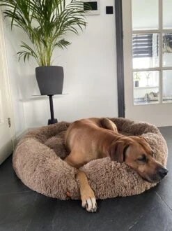 Happysnoots Hondenmand Met Rits - 80cm - Hondenbed - Donut Dog Bed - Fluffy - Grijs - Wasbaar -Hond Benodigdheden 899x1200 6
