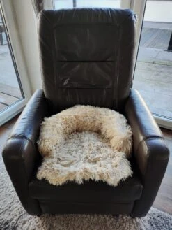 Kussen Voor Kat Of Kleine Hond | Fluffy Dierenkussen Van Pluche | Kat | Bank | Mand | Kattenmand | Kattendeken & Bankbeschermer Max. 15 Kg | Beige | Maat XS -Hond Benodigdheden 900x1200 12