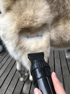 Waterblazer Hond - Hondendroger -Hond Benodigdheden 900x1200 5